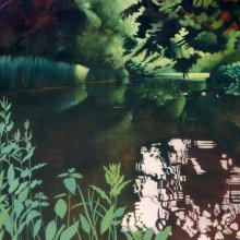 Pond in June