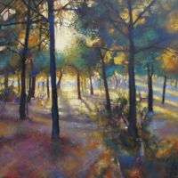 Campos de Madrid