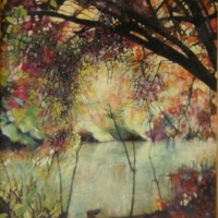 Copper Beech at Shipton under Wychwood,