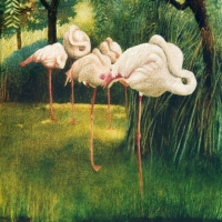 Flamingos at Rest