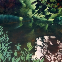 Pond in June