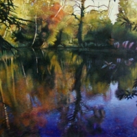 Summer Pond