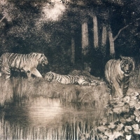 -Tigers-in-forest