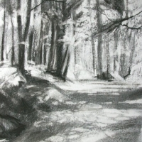 Camino de Santiago Study III