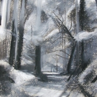 Camino de Santiago Study II
