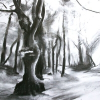Camino de Santiago Study IV