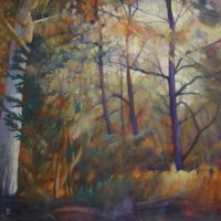 0517trees-latest