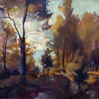 2morning-in-the-Forest