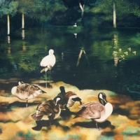 Pond with Geese