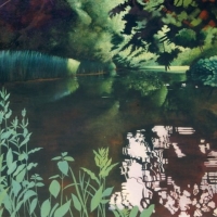 Pond in June