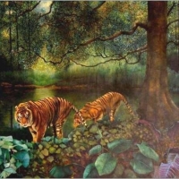 2 Tigers by a Pool