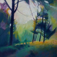 Morning in the Forest