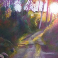 Evening Walk