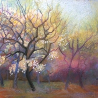 Buscastell Spring View