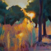 Galapagar Evening Walk   SOLD