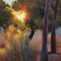 Sunset in the Pines, SOLD