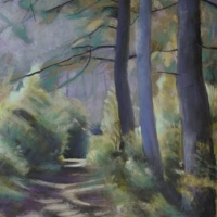 Misty Morning Walk