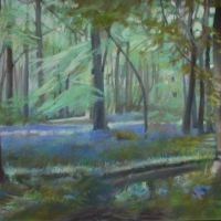 Bat Boxes in Bluebell Time  SOLD