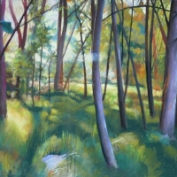Bosque Rio Dulce