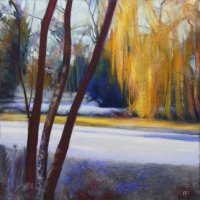Willow in Winter