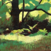 forest-study