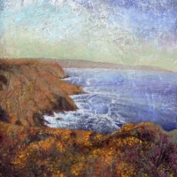 Gorse , Lands End