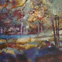 Old Forest  Glade