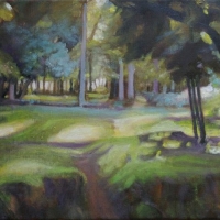 Old-Forest Sunlit View