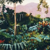 GORILLA MOUNTAIN...BWINDI