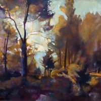 MORNING IN THE FOREST...SAN MATEO