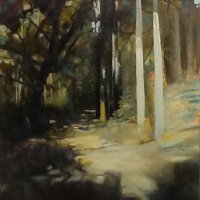 CAMINO... EUCALYPTUS TREES