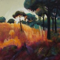 CAMPOS 1