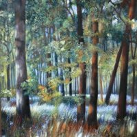 WOODLANDS NEAR ME   SOLD