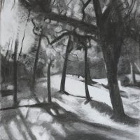 SUNLIGHT  WOODLANDS