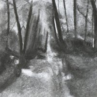 WOODLAND PATH II