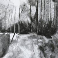 WOODLAND PATH I