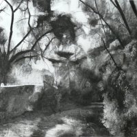 SACRED ASH