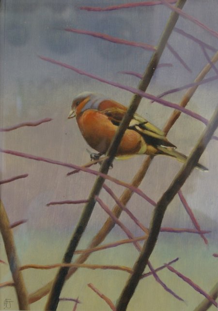 Hedgerow (Chaffinch)