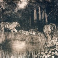 Tigers in the Forest