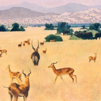 Queen Elizabeth Park Uganda