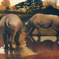 Rhinos at Dusk  SOLD
