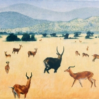 Savanna Sketch