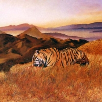 Tiger on the Edge