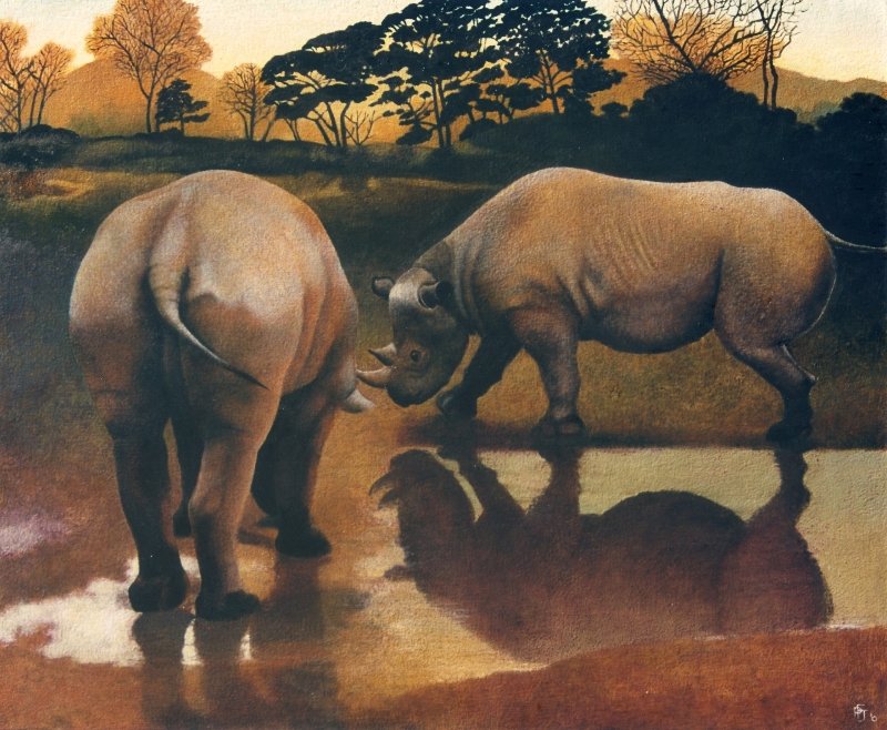 Rhinos at Dusk