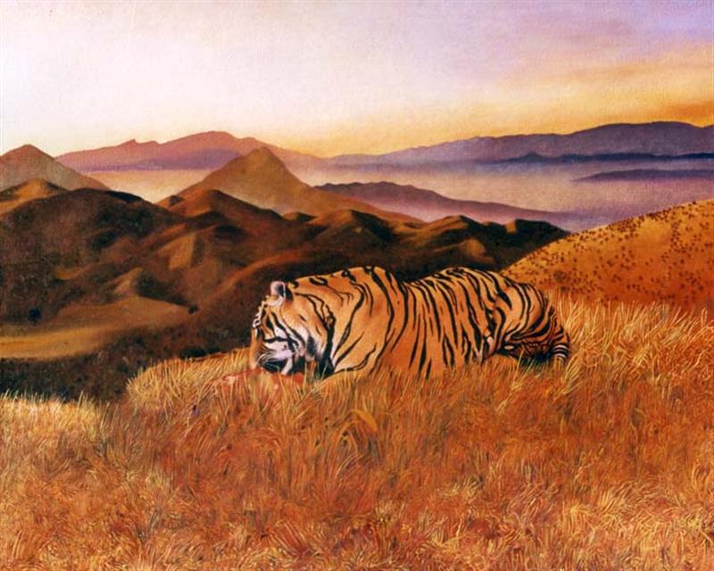 Tiger on the Edge